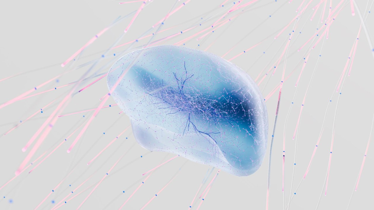 Illustration of alpha-MSH reducing inflammation and oxidative stress in the brain