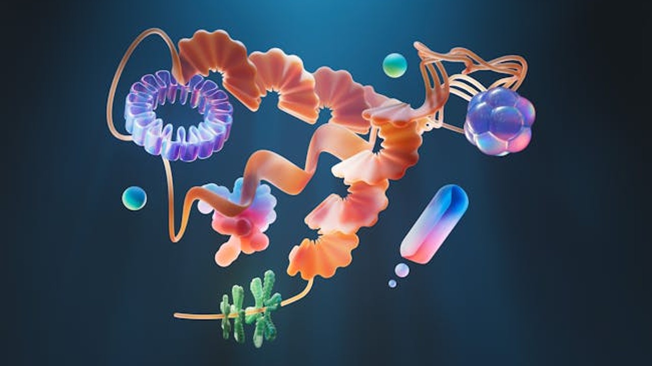 A graphic illustrating the process of collagen hydrolysis, showing large collagen molecules breaking down into smaller peptide chains.