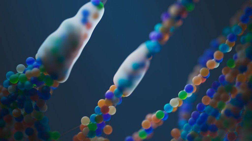 Peptides: Exploring the Risks and Safety Concerns