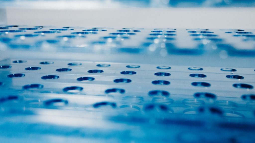 Peptide Storage: Keep Your Peptides Potent & Stable