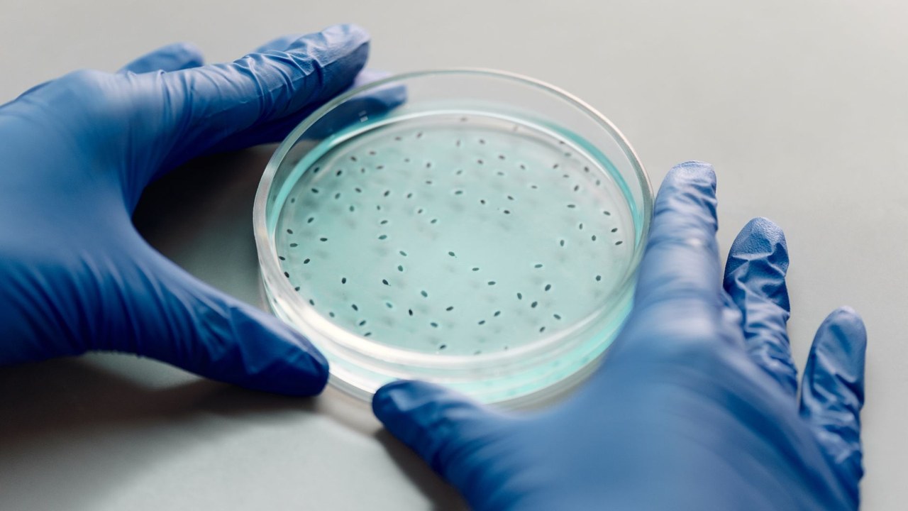 What Is Orexin and How It Controls Wakefulness