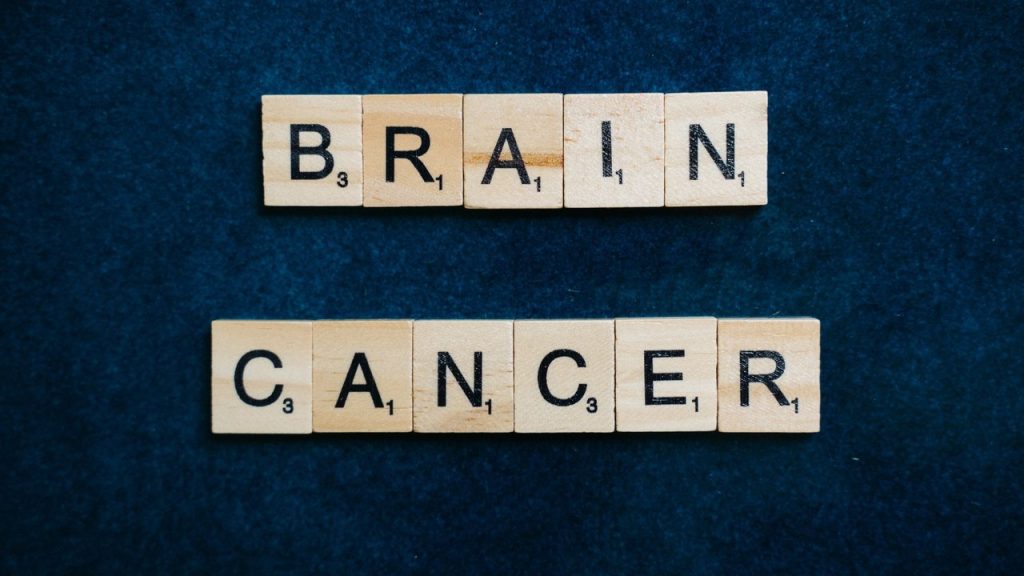 What Is the Blood-Brain Barrier and Why It Matters